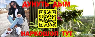стафф Будённовск