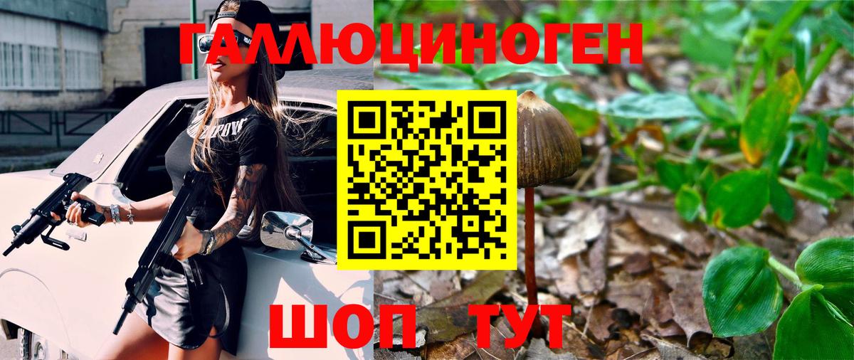 Псилоцибиновые грибы мицелий  Вход с VPN  наркошоп  Новошахтинск 