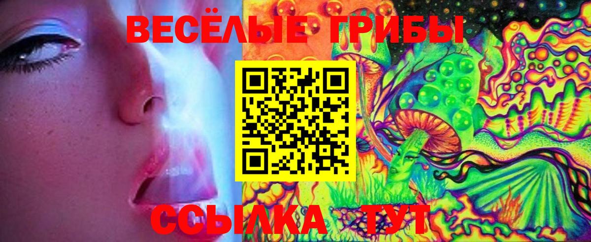 Галлюциногенные грибы ЛСД Новошахтинск